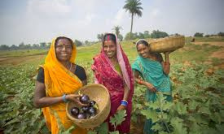 Female Farmrs